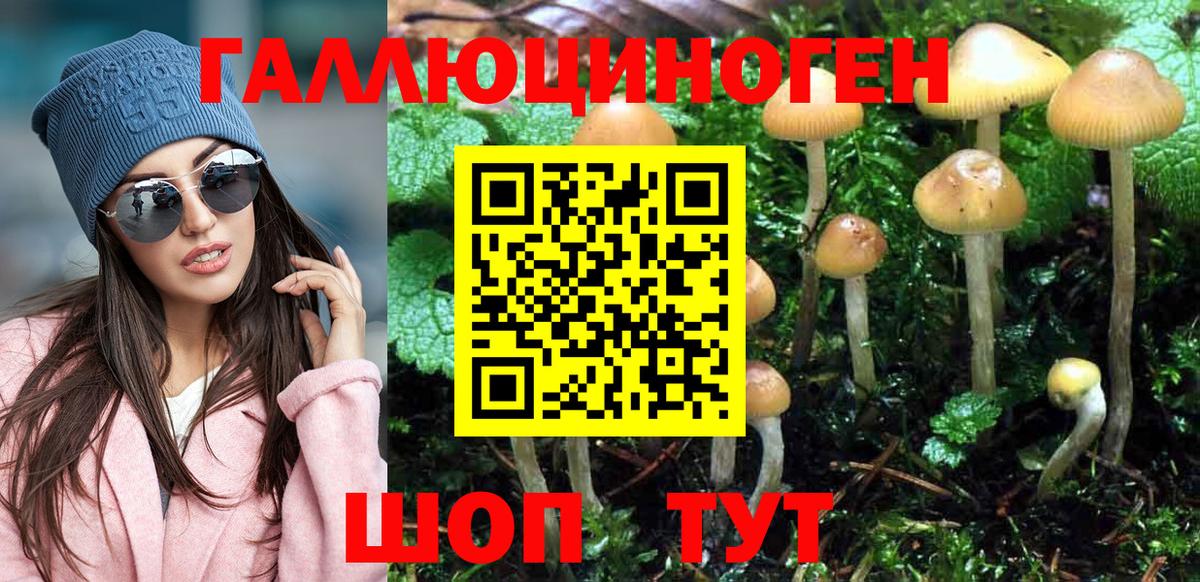 Псилоцибиновые грибы мицелий Еманжелинск
