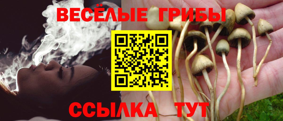 Галлюциногенные грибы мухоморы  Вход с VPN  Еманжелинск  где продают   Галлюциногенные грибы ЛСД 